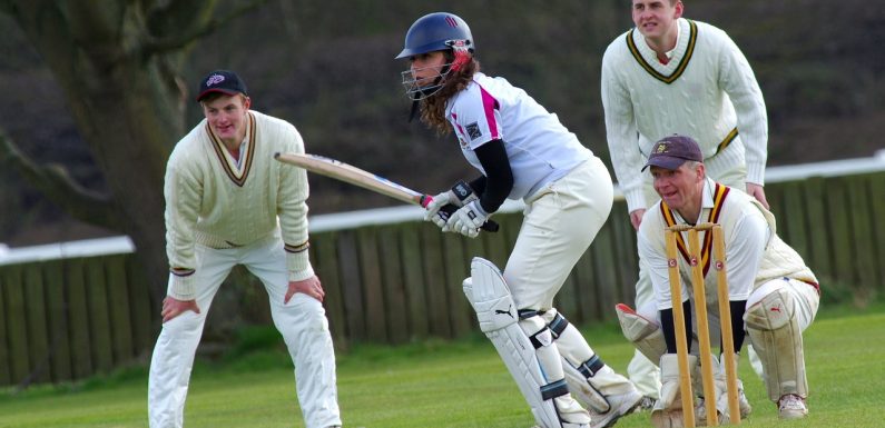 Cricket Batting Bat Batsman Mauris Gravida