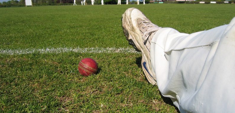 Michael is known for his Talent Mauris Gravida