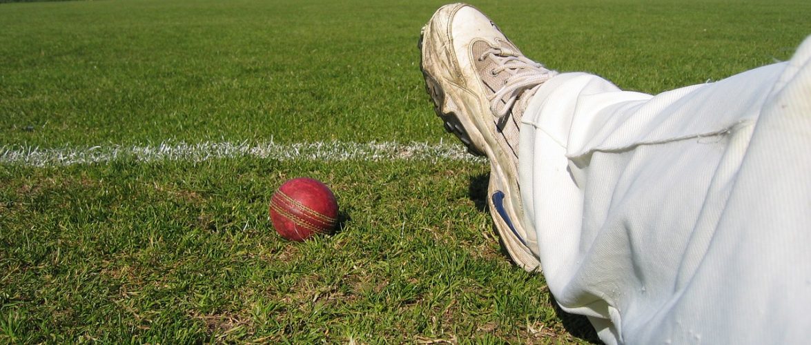 Michael is known for his Talent Mauris Gravida