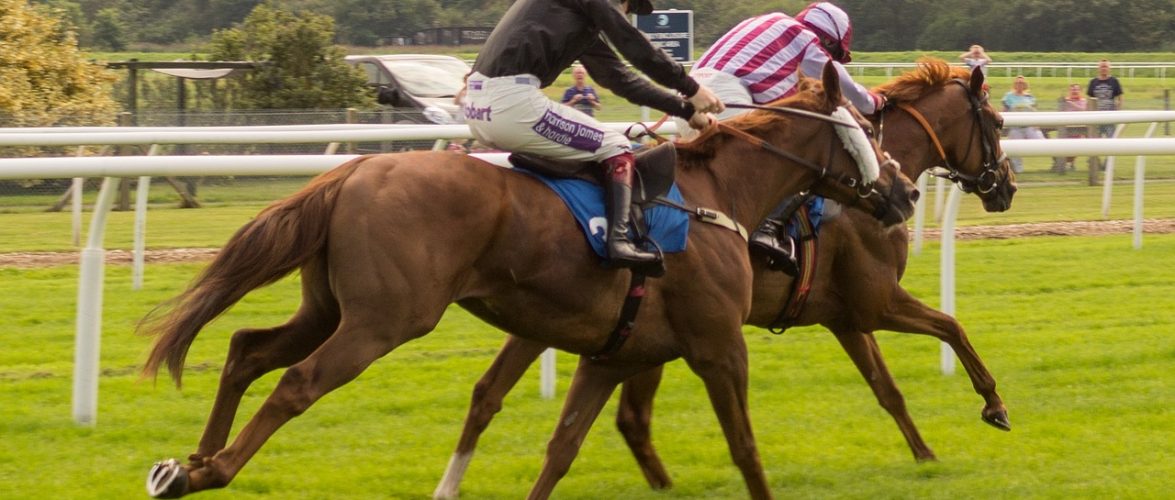 Based My Personal Experience Mauri