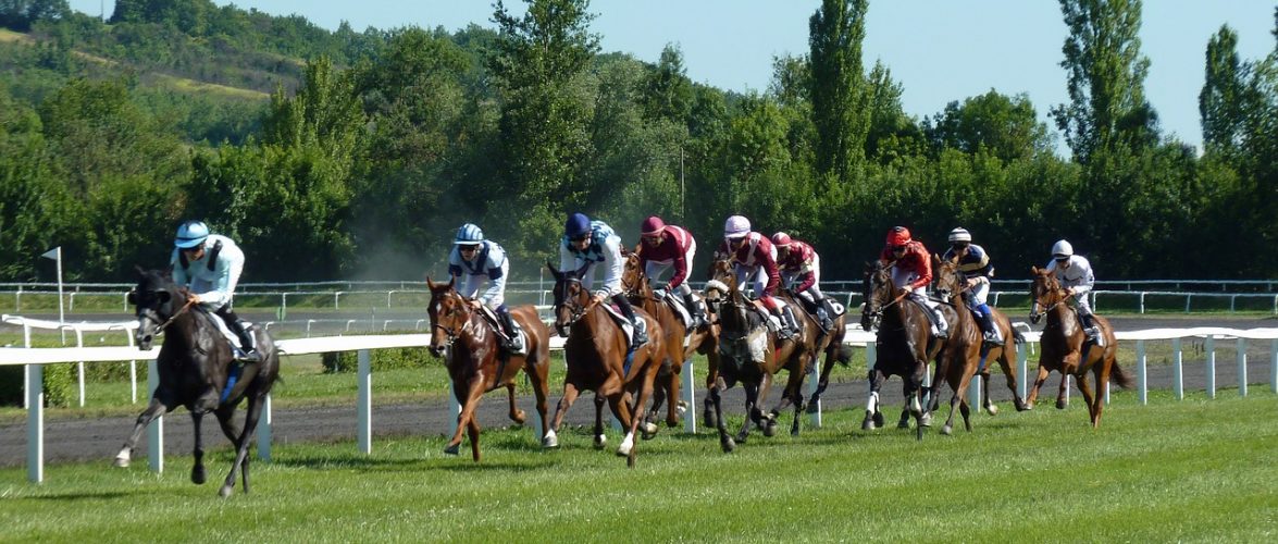 Based My Personal Experience Mauri