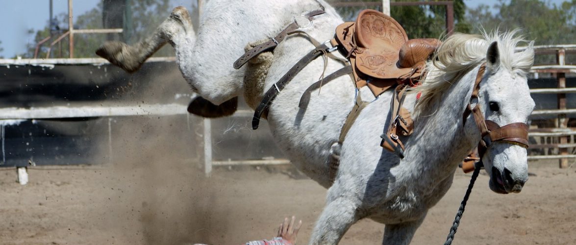 Horse Rider Failed in the Race Mauris Gravida