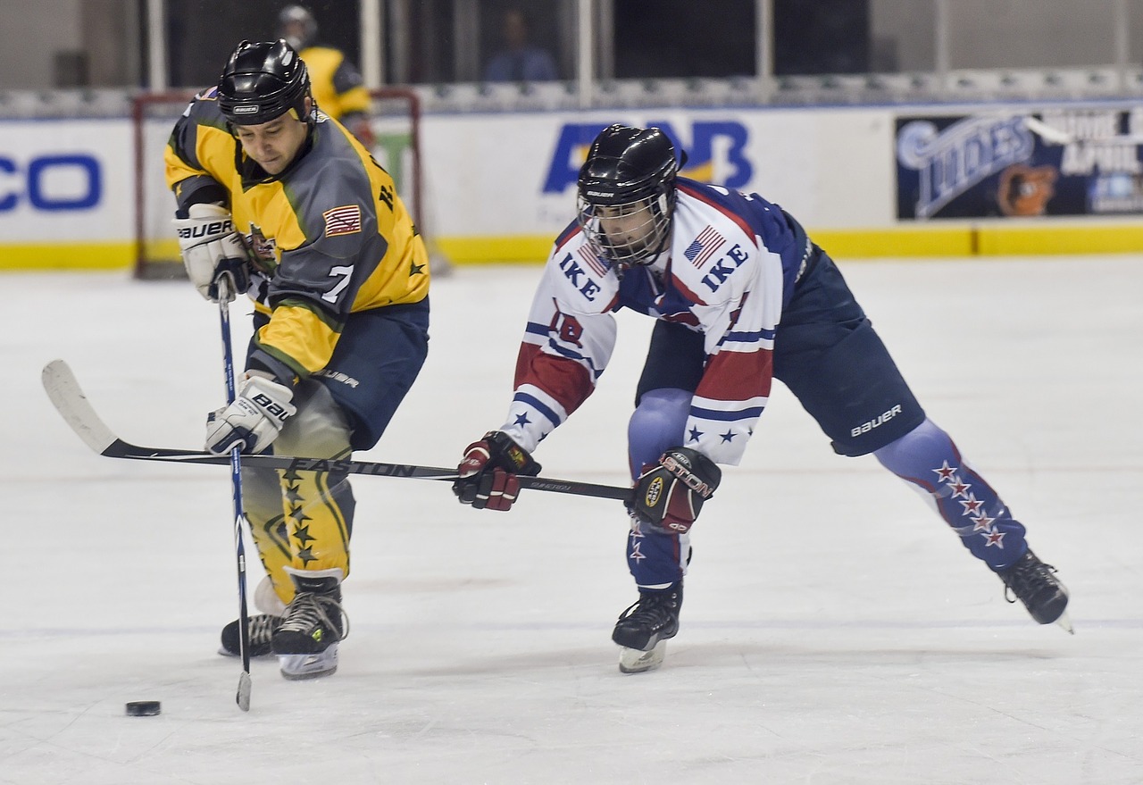 Hockey Free Hockey Games Mauris