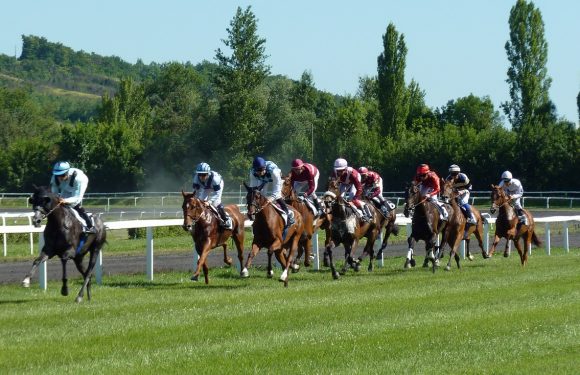Mauris Gravida Horse Race Hippodrome