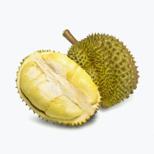 Fresh Durian Live Fruit