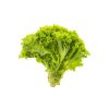 Shurbs plant bundle steams
