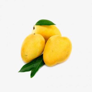 Fresh Food